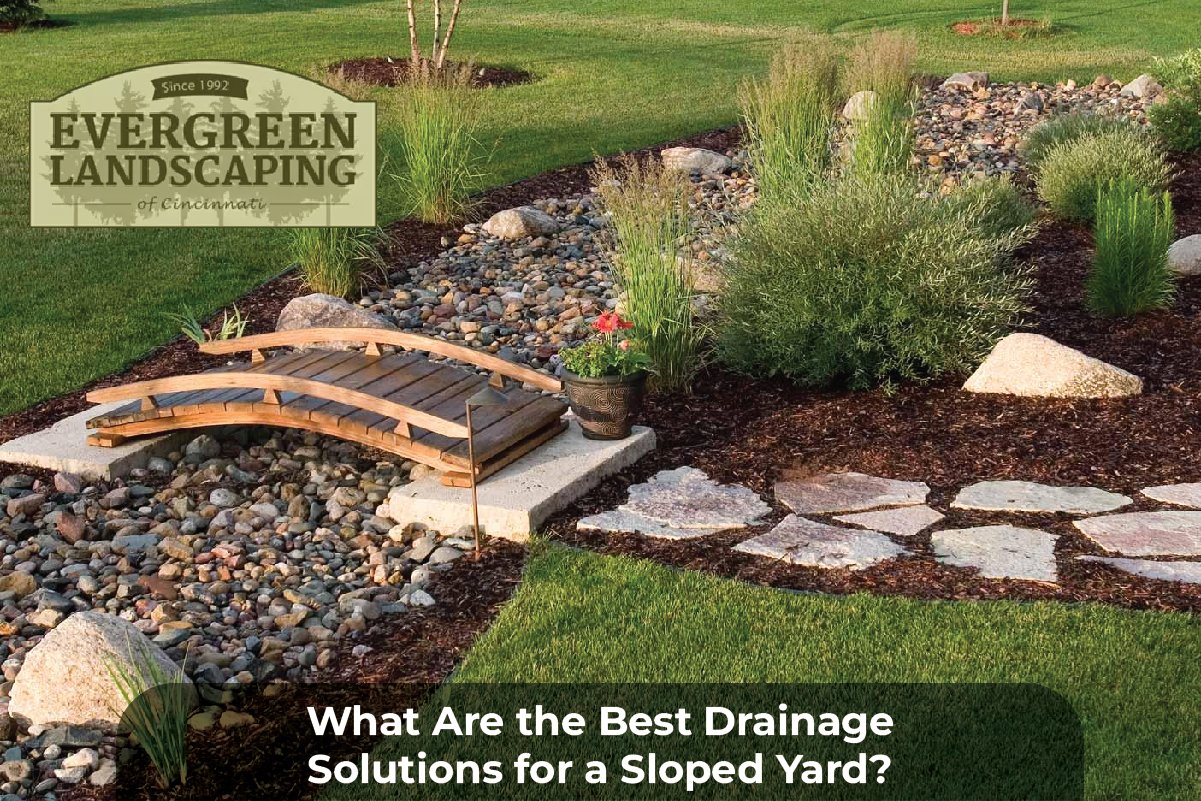 drainage solution