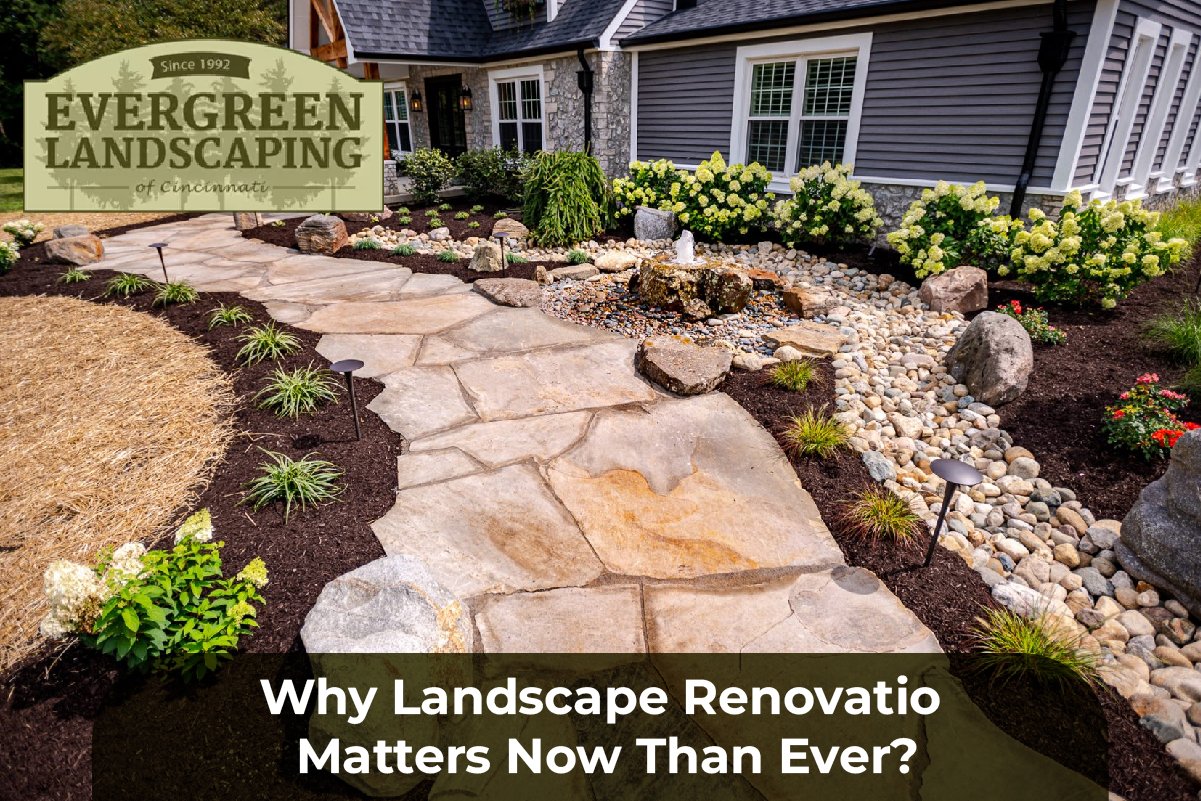 landscape renovation